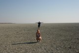 Etosha zoutmeer