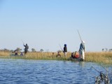 Okavanga delta - Mokoro
