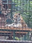 IMG_20200829_165930