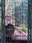 IMG_20200829_160041