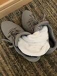 IMG_2246