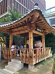 IMG_2270