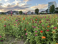 IMG_2275