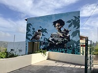IMG_6633
