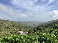IMG_6635