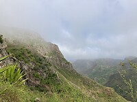 IMG_6591
