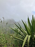 IMG_6590