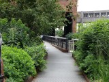 green line
