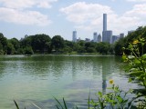 Central Park