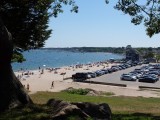 Niantic