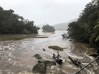 Abel Tasman Park