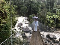 Abel Tasman Park: Bark Bay Bridge