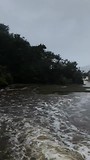 Abel Tasman Bark Bay Bridge