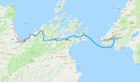 11. wellington-nelson