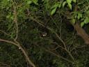 IMG_1591a