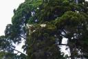 DSC_0558