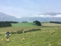 IMG_0513