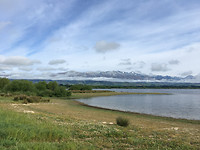 IMG_0516