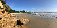 IMG_0600