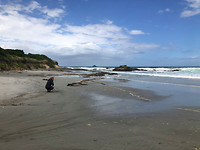 IMG_0627