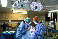 GND190409_OR_MAXFACS_ENT_SURGEONS_SHRIME_COLAIANNI_MD003_LO