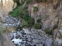 DSC02618