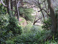 20181031033834_IMG_2043