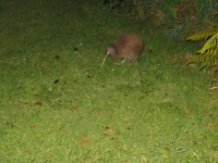 20181130114958_IMG_2807