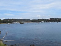 20181201012034_IMG_2817