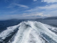 20181201042800_IMG_2823