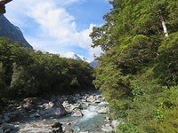 20181127055716_IMG_2766