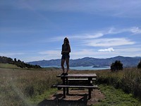 IMG-20181231-WA0031