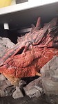 20190416_065211