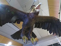 20171012183452_IMG_0055