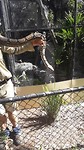20190511_115412