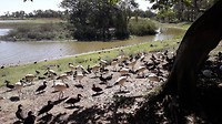 20190511_131236
