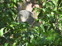 20190505010619_IMG_0658