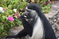 img_20190224204515