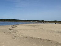 Duinen