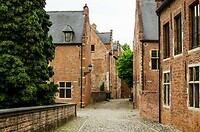 adobestock-209849981-jpeg_header-15874662