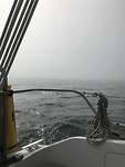 Mist