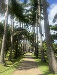 IMG_7603