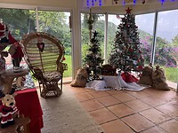 IMG_8114