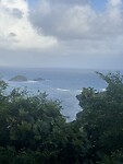 IMG_8154