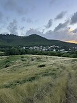 IMG_8222