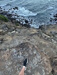 IMG_8221