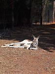 20180930_132726