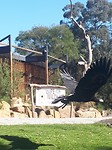 20180930_145008(0)