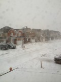 Sneeuw