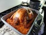 Turkey!